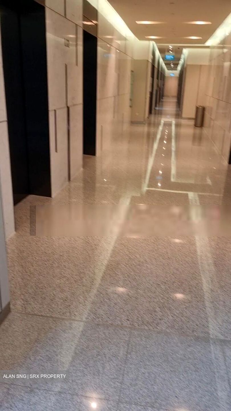 Sbf Center (D1), Office #529183181